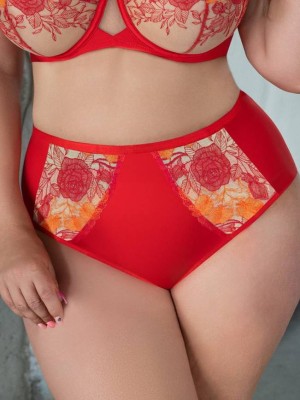 Трусы высокие Kris Line SWEETHEART Briefshighwaist 